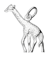 Giraf (5)