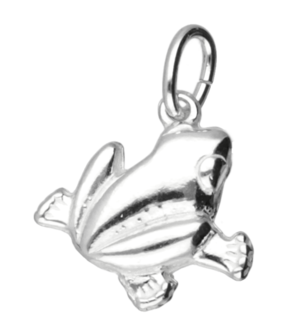 Zilveren Kikker ketting hanger - 2