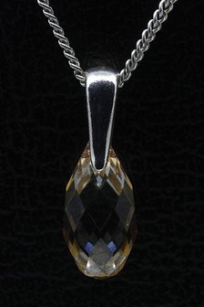 Swarovski kristal Briolette golden shadow ketting hanger - klein