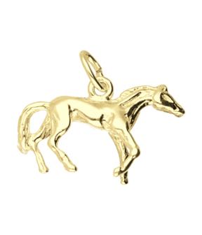 Gouden Paard prairie ketting hanger