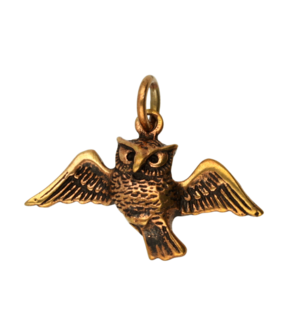 Bronzen Uil met vleugels wijd kettinghanger