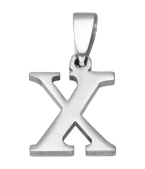 RVS Letter X ketting hanger - edelstaal