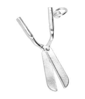 Zilveren Heggeschaar ketting hanger