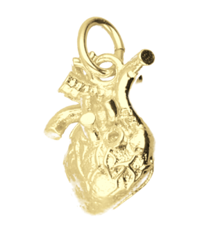 Gouden Hart anatomie kettinghanger