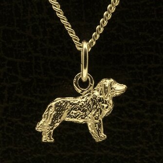 Gouden Leonberger ketting hanger - klein