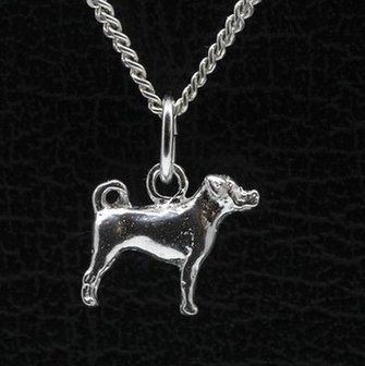 Zilveren Appenzeller sennenhond ketting hanger - klein