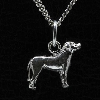 Zilveren Zwitserse sennenhond ketting hanger - klein