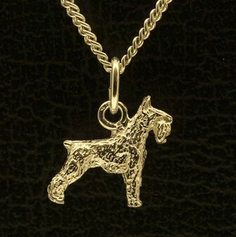 Gouden Riezen Schnauzer oren gecoupeerd ketting hanger - klein