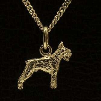 Gouden Schnauzer dwerg oren gecoupeerd ketting hanger - klein