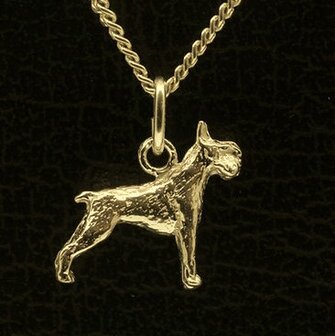 Gouden Schnauzer middelslag oren gecoupeerd ketting hanger - klein