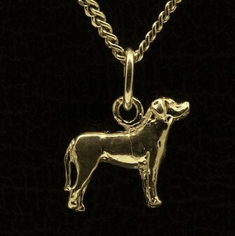 Gouden Zwitserse Sennenhond ketting hanger - klein