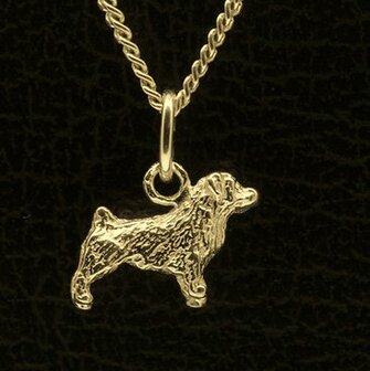 Gouden Norfolk Terrier ketting hanger - klein