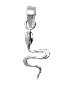 Zilveren Apotheek slang kettinghanger