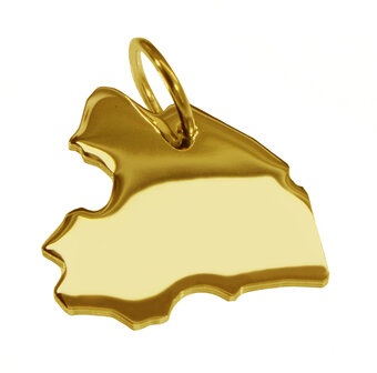 Gouden Provincie Drenthe ketting hanger