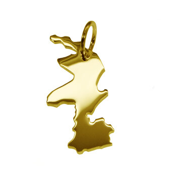 Gouden Provincie Limburg ketting hanger