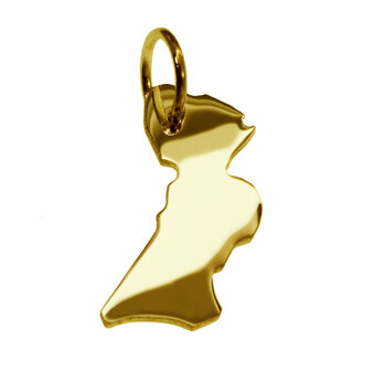 Gouden Provincie Flevoland ketting hanger