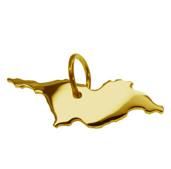 Gouden Landkaart Georgia ketting hanger