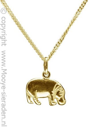 Gouden Nijlpaard ketting hanger