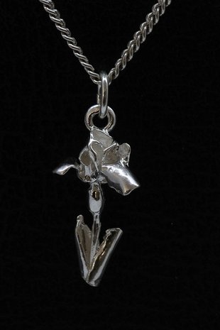 Zilveren Iris ketting hanger