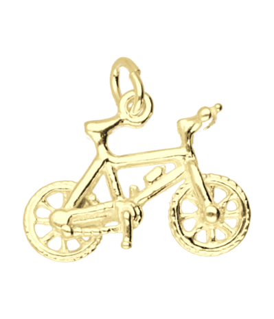 Gouden Mountainbike ketting hanger