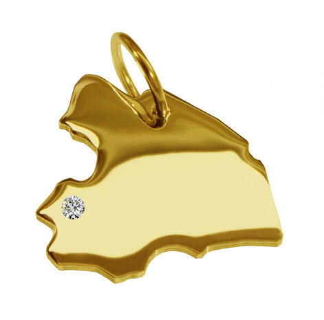 Gouden Provincie Drenthe ketting hanger