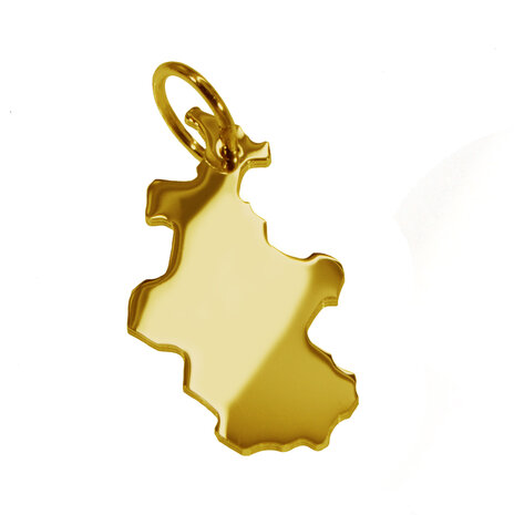 Gouden Provincie Overijssel ketting hanger