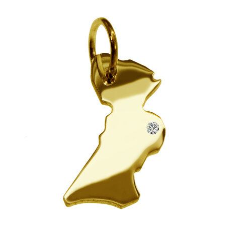 Gouden Provincie Flevoland ketting hanger