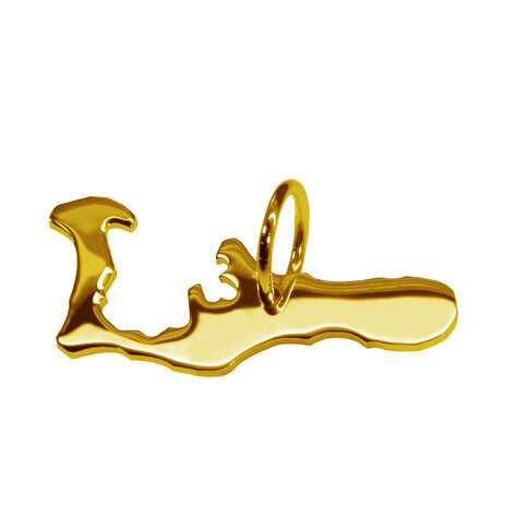 Gouden Landkaart Kaaimaneilanden ketting hanger