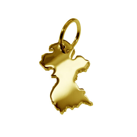 Gouden Landkaart Frans Guyana ketting hanger