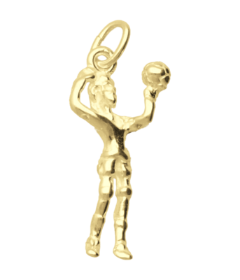 Gouden Volleybalster ketting hanger