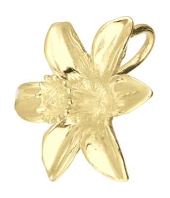Gouden Narcis ketting hanger