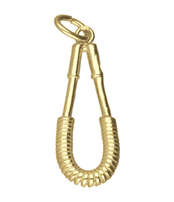 Gouden Krachtveer ketting hanger