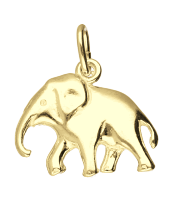 Gouden Olifant ketting hanger
