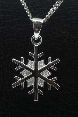 Zilveren Sneeuwvlok glans ketting hanger