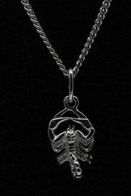 Zilveren Sterrenbeeld Schorpioen ketting hanger - klein
