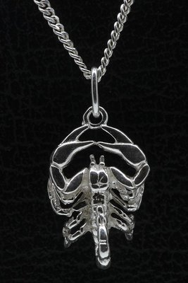 Zilveren Sterrenbeeld Schorpioen ketting hanger - groot
