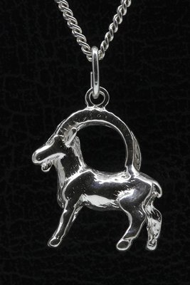 Zilveren Sterrenbeeld Steenbok ketting hanger - groot