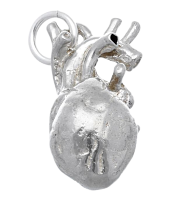 Zilveren Hart anatomie groot kettinghanger