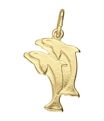 Gouden Dolfijn dubbel vlak ketting hanger