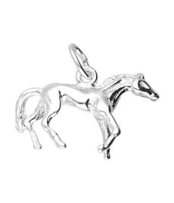 Zilveren Paard ketting hanger - prairie