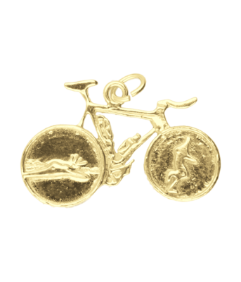 Gouden Triathlon fiets vlak ketting hanger