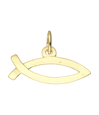 Gouden Ichtusvis ketting hanger