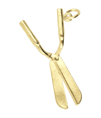Gouden Heggeschaar ketting hanger
