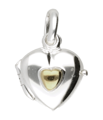 Zilveren Foto medaillon hart met gouden hart hanger - klein