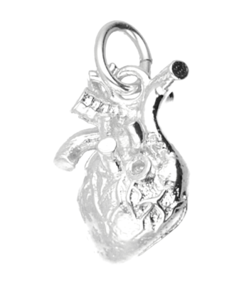 Zilveren Menselijk hart kettinghanger
