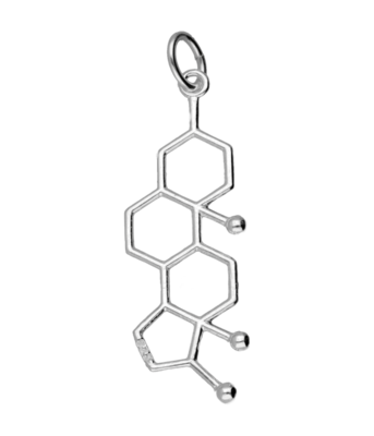 Zilveren Testosteron scheikundig molecuul formule kettinghanger