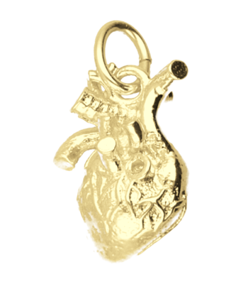 Gouden Hart anatomie kettinghanger