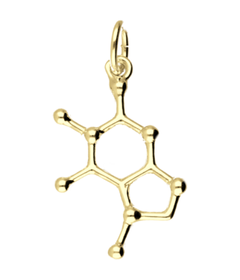 Gouden Chocolade scheikundige molecuul formule kettinghanger