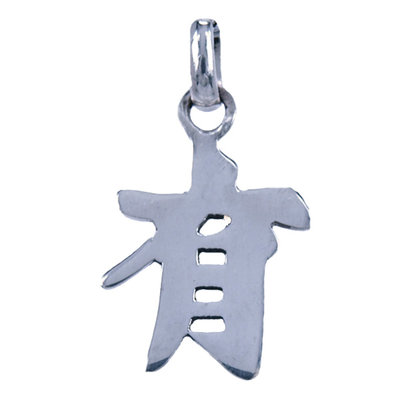 Zilveren Chinese horoscoop Tweelingen - wijsheid kettinghanger