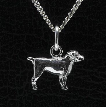 Zilveren Entlebucher sennenhond ketting hanger - klein
